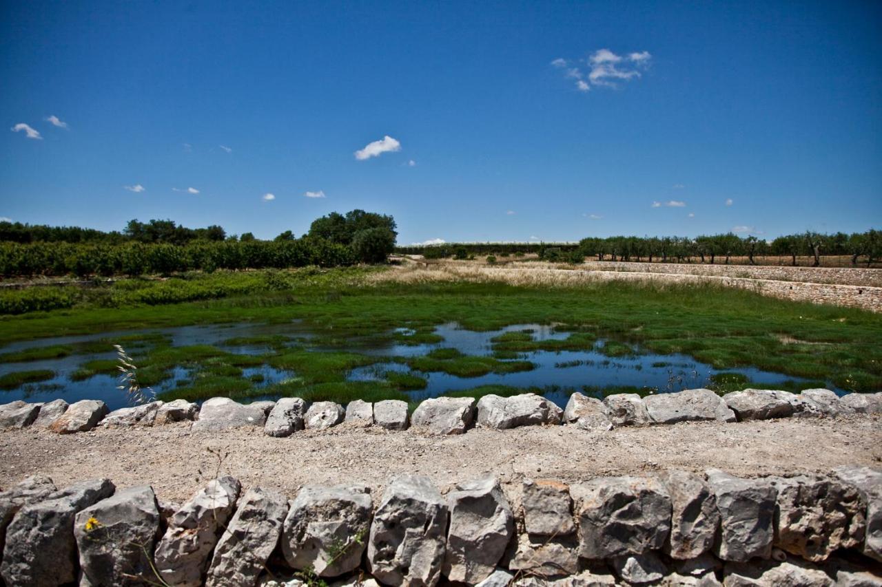 La Terrazza Di Puglia Daire Conversano Dış mekan fotoğraf
