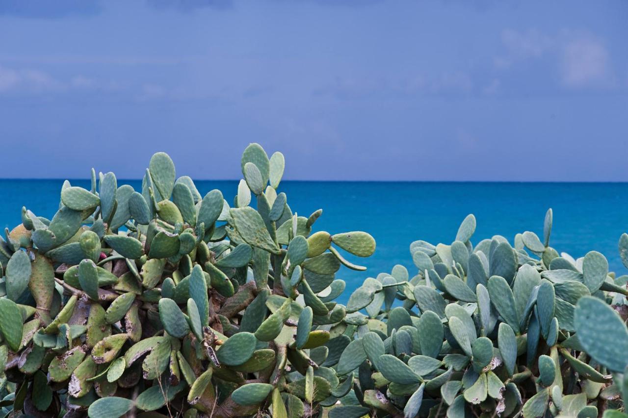 La Terrazza Di Puglia Daire Conversano Dış mekan fotoğraf